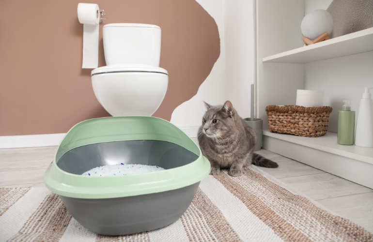 【流せる猫砂が詰まる？】知っておきたい注意点と対処手順を覚えておこう