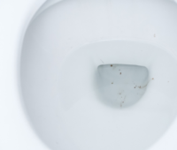 【頑固な黒ずみもスッキリ】トイレに黒ずみができる原因と効果的な掃除手順とは？